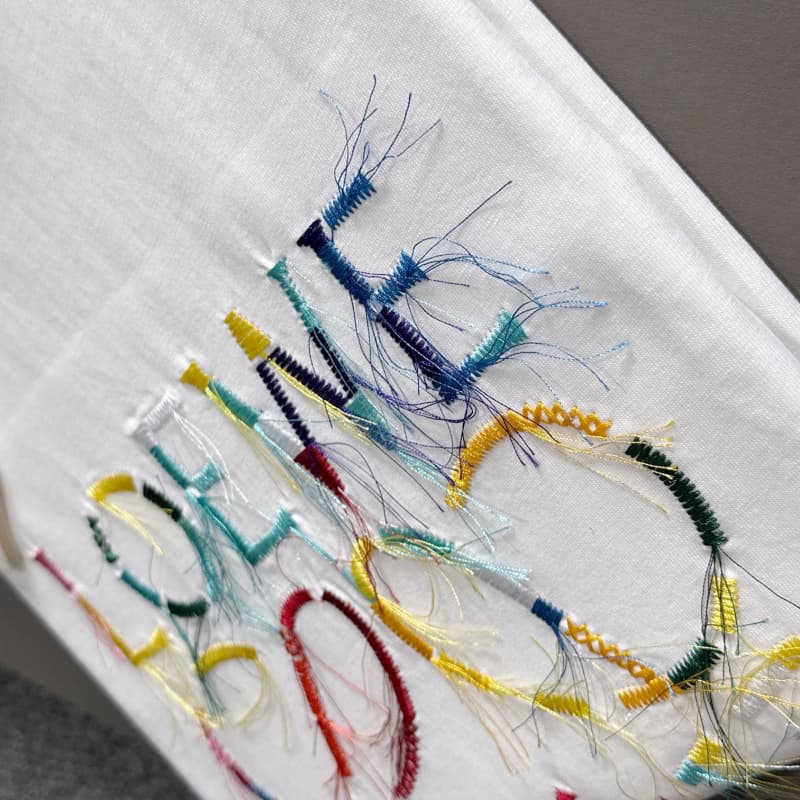 Rainbow Fringe Embroidered T-Shirt