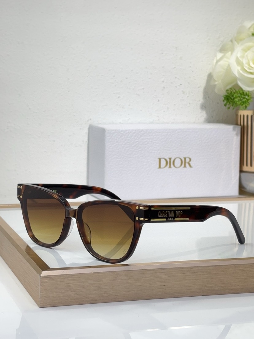 Dior  Sunglasses