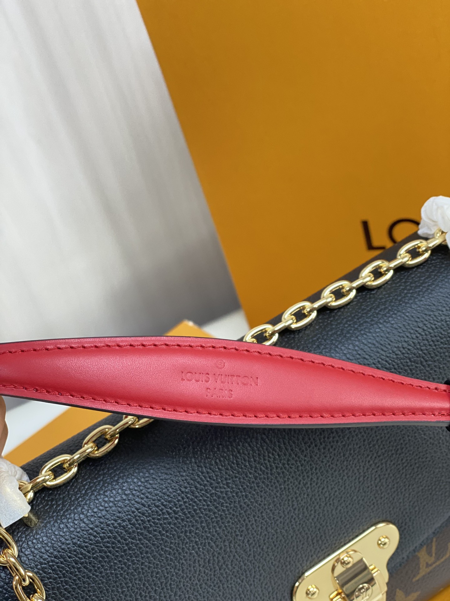 Louis Vuitton Saint Placide Chain Bag