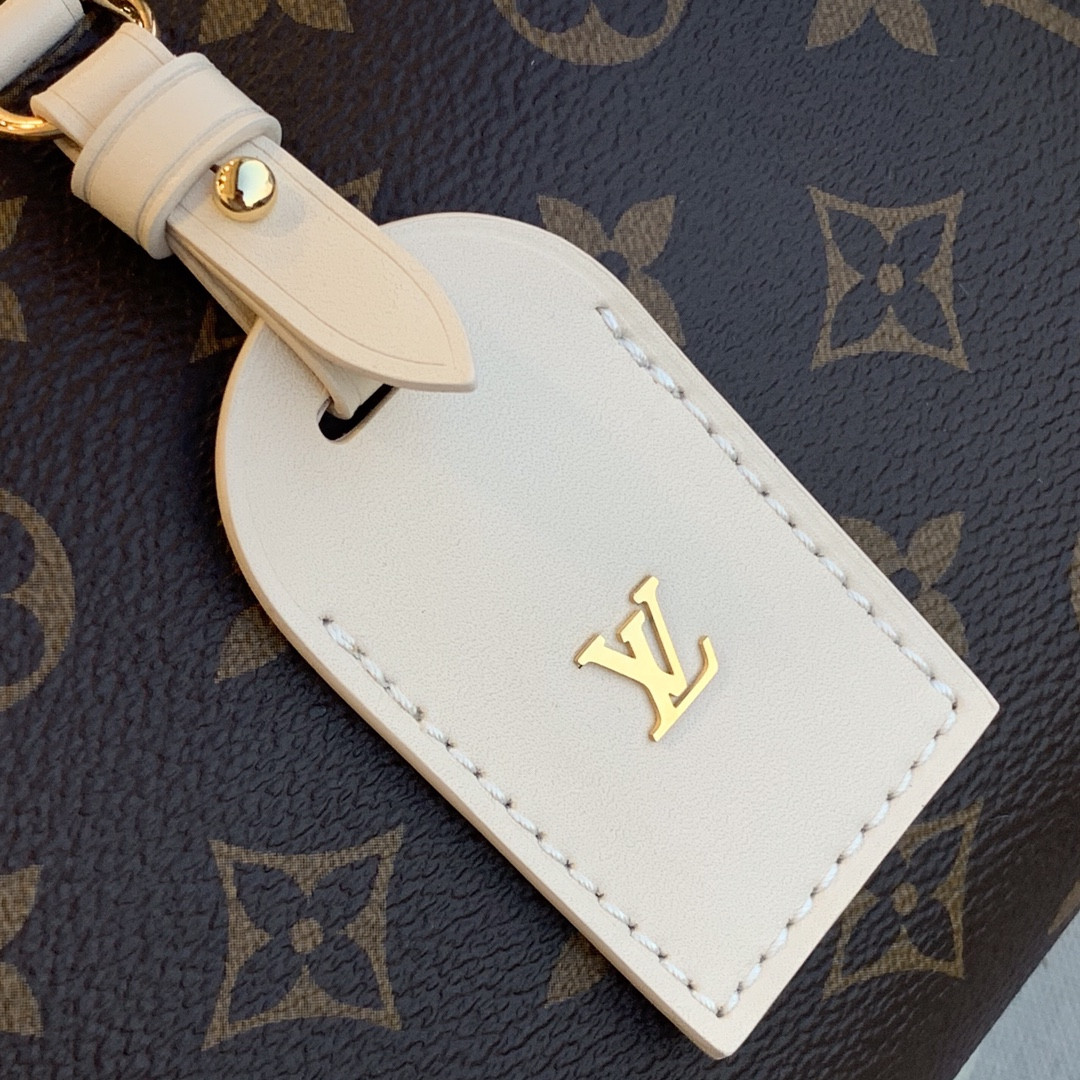 Louis Vuitton Petite Malle Souple Bag