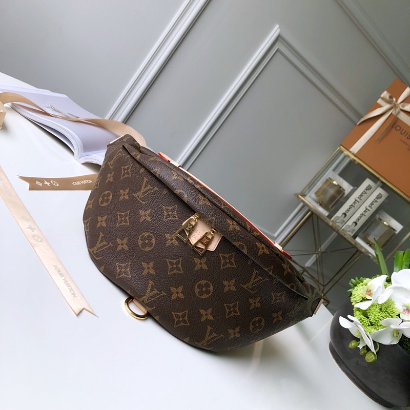 Louis Vuitton Bumbag Bag