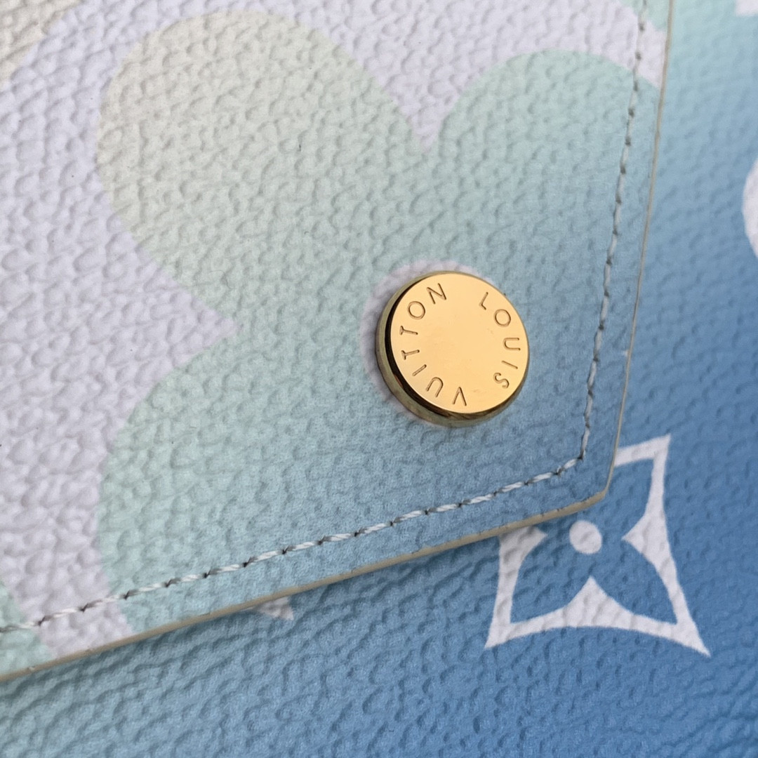 Louis Vuitton Victorine Bag