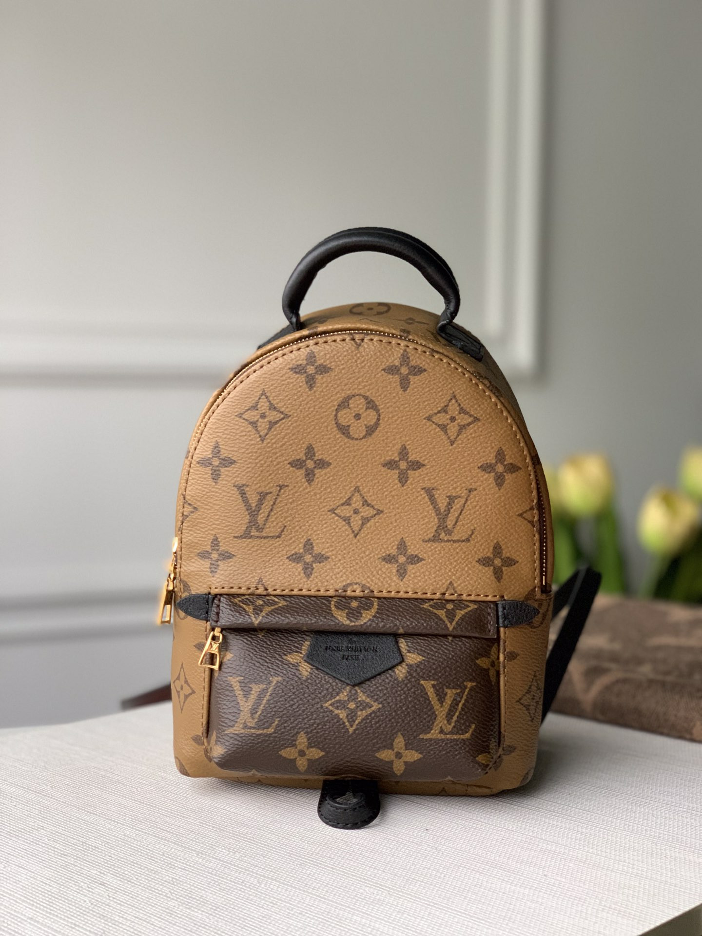 Louis Vuitton Palm Springs Bag