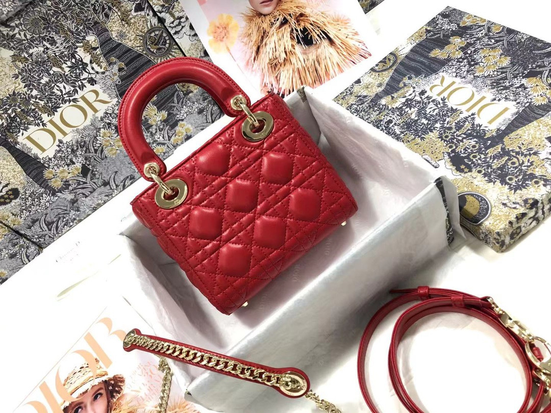Mini Lady Dior Bag