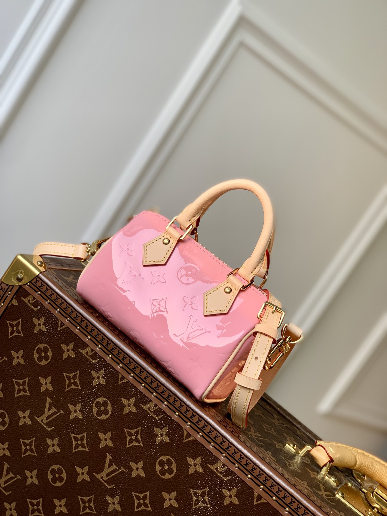 Louis Vuitton Speedy Bandoulière 25 Bag