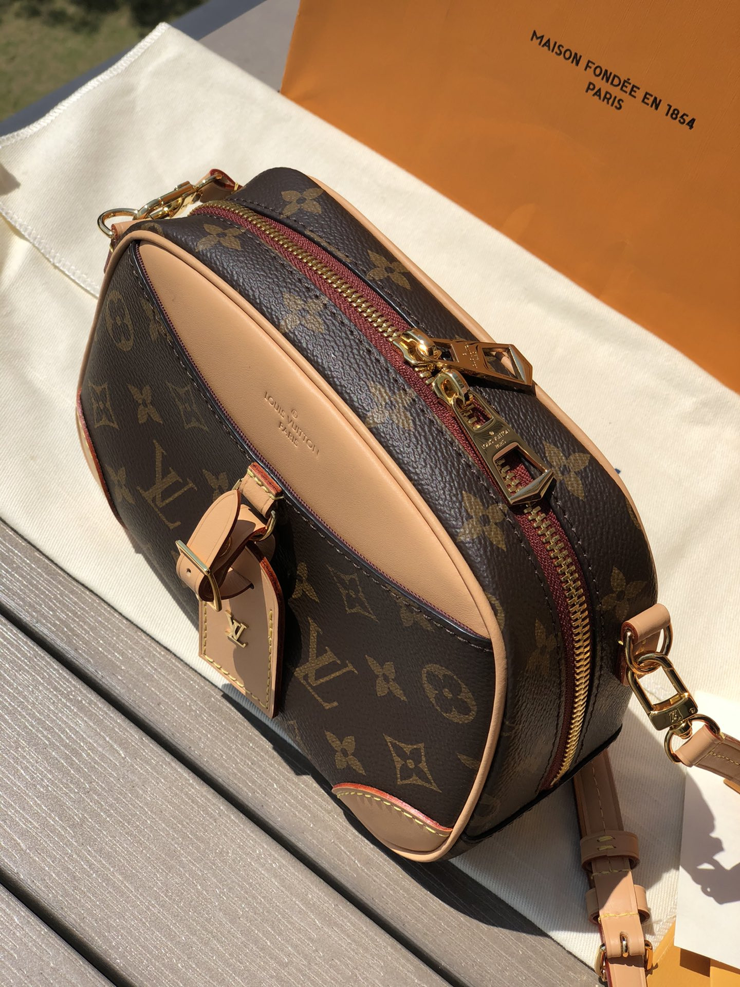 Louis Vuitton Hobo Dauphine Bag