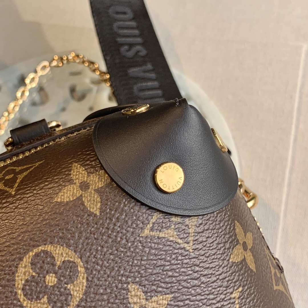 Louis Vuitton Petite Malle Souple Bag