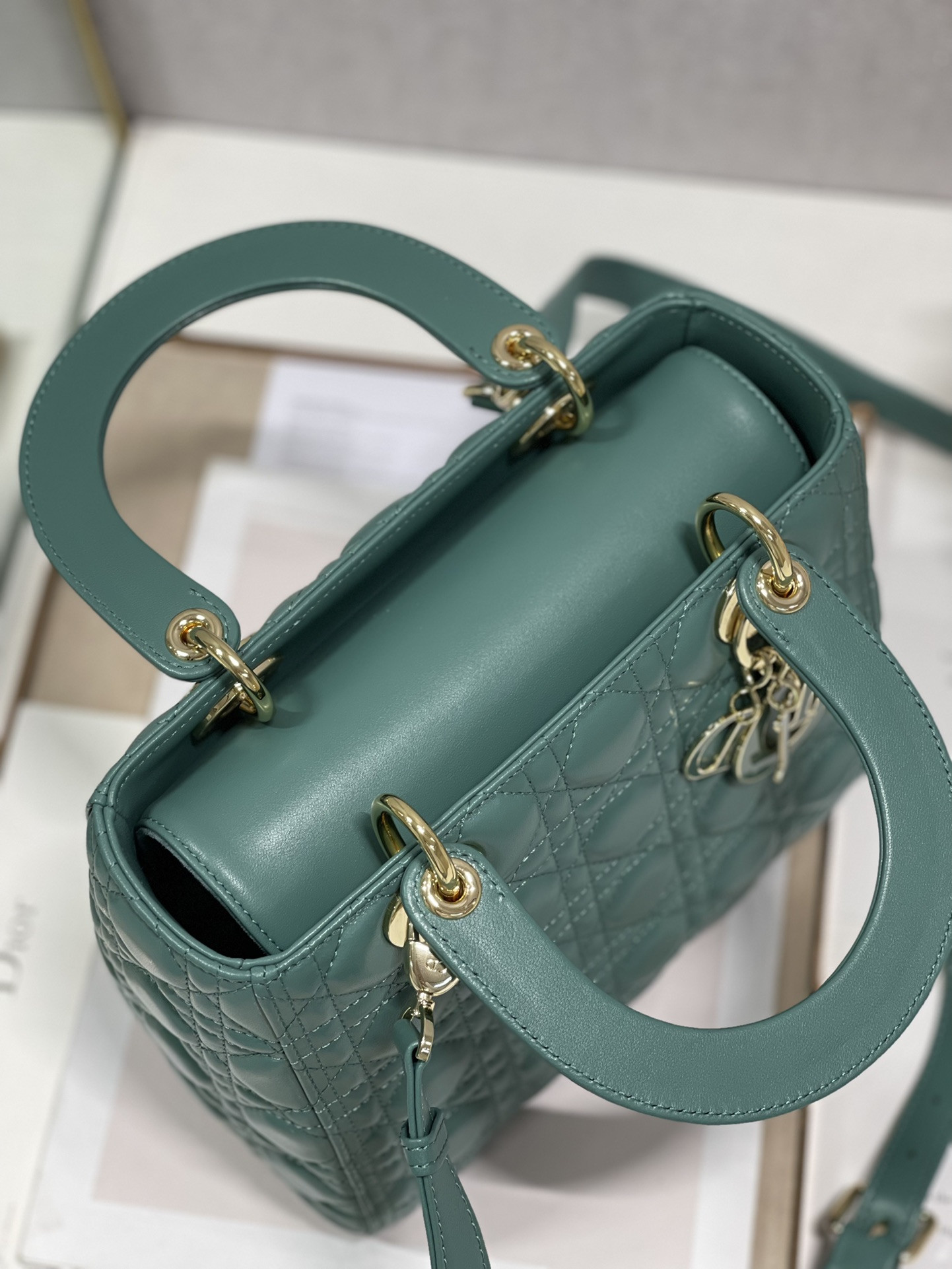 Medium Lady Dior Bag