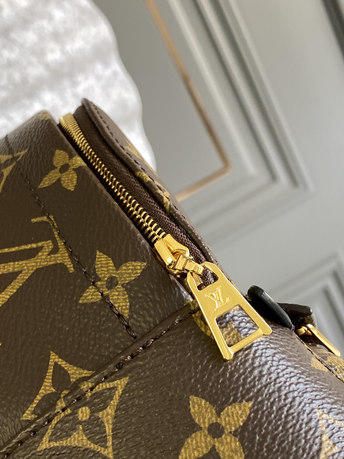 Louis Vuitton Palm Springs Bag