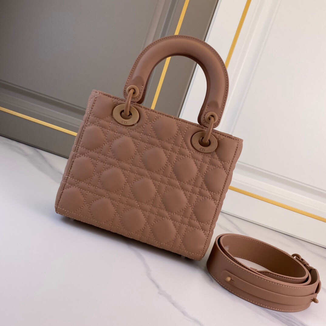 Medium Lady Dior Bag