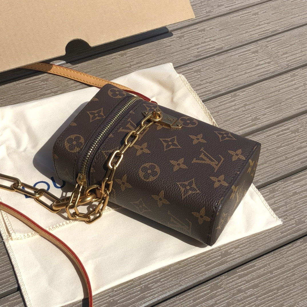 Louis Vuitton Phone Box Bag