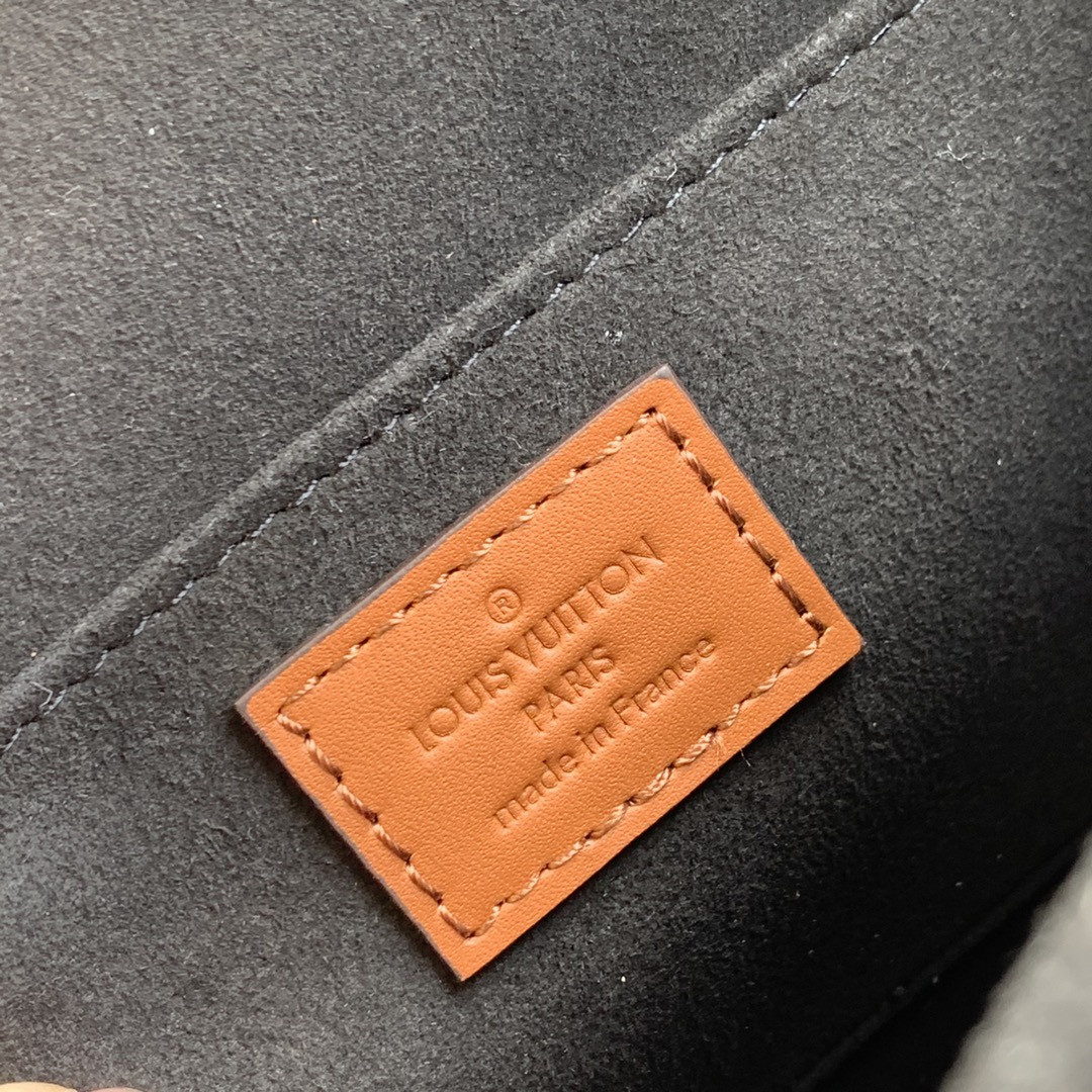 Louis Vuitton Dauphine Bag