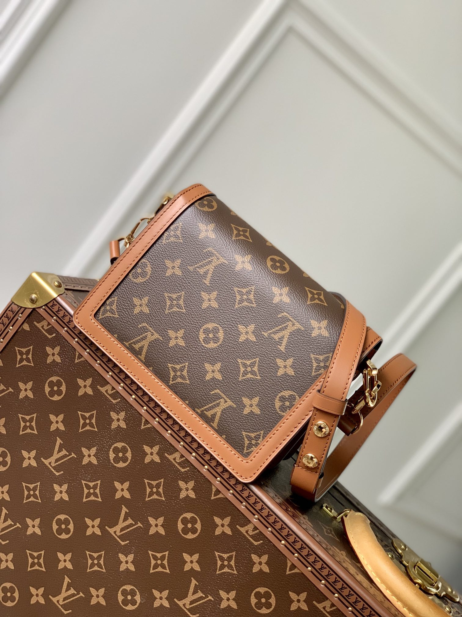 Louis Vuitton Dauphine Bag