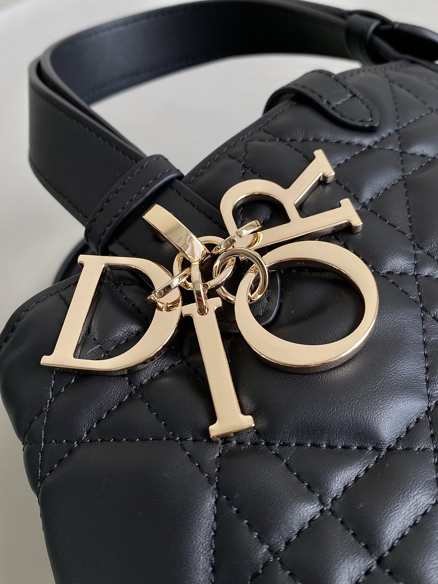Dior Toujours Bag