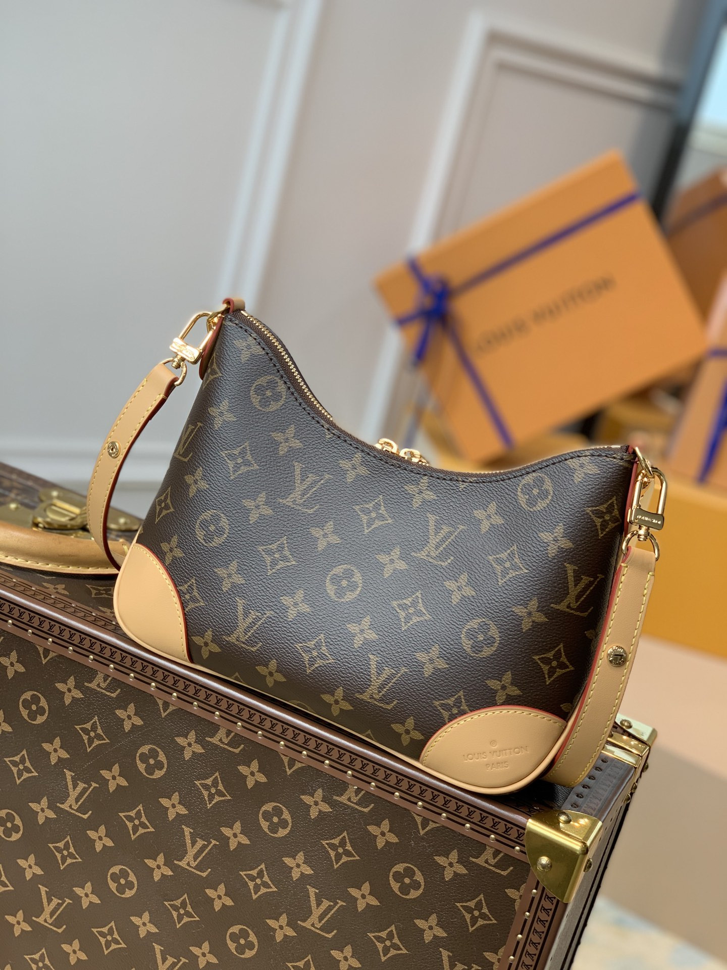 Louis Vuitton Odéon Bag