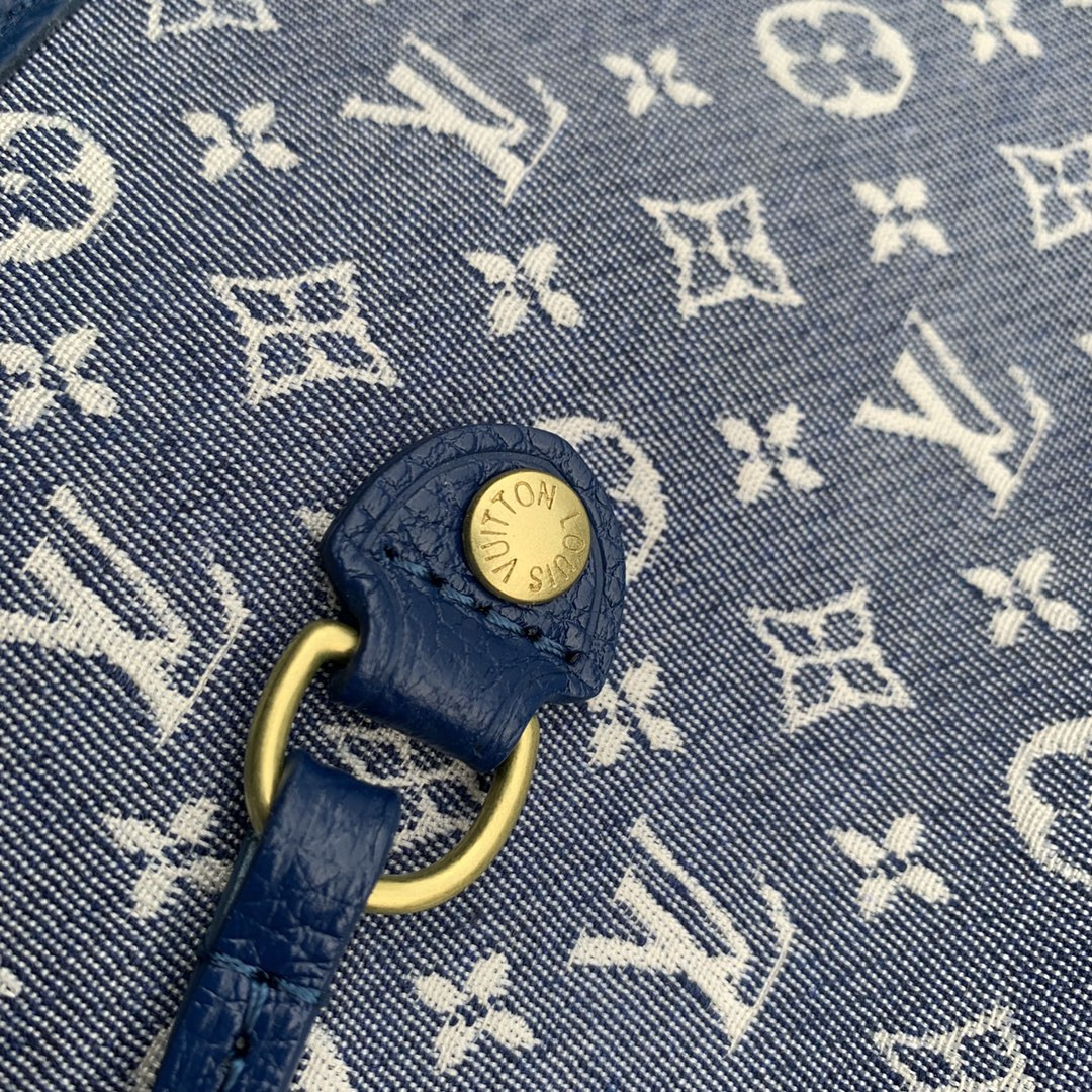 Louis Vuitton Neverfull Bag