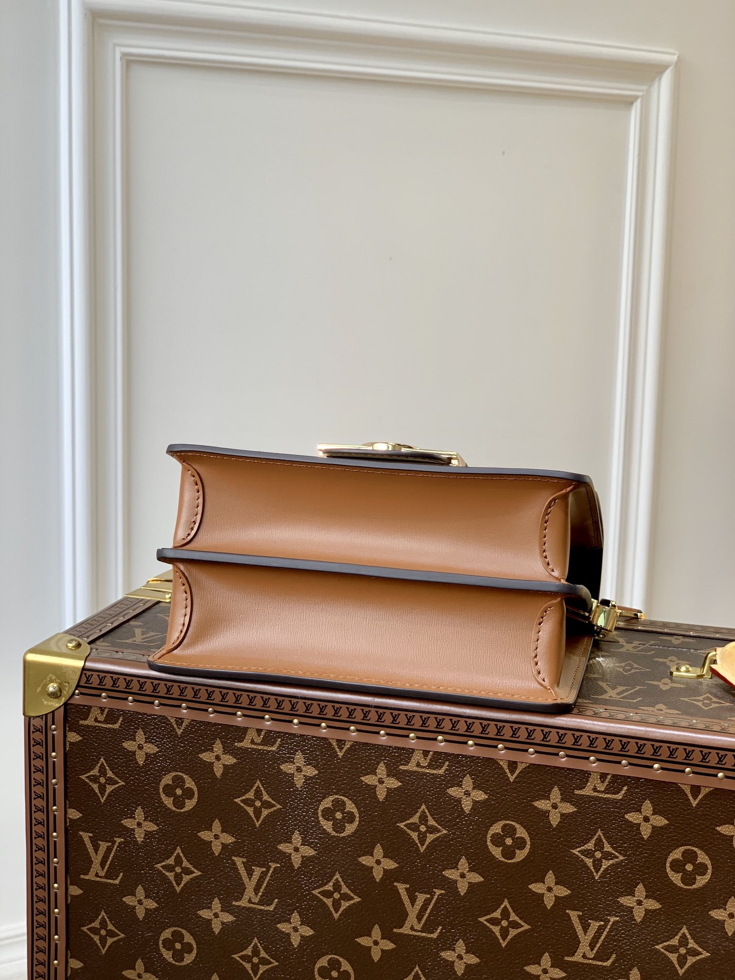 Louis Vuitton Dauphine Bag