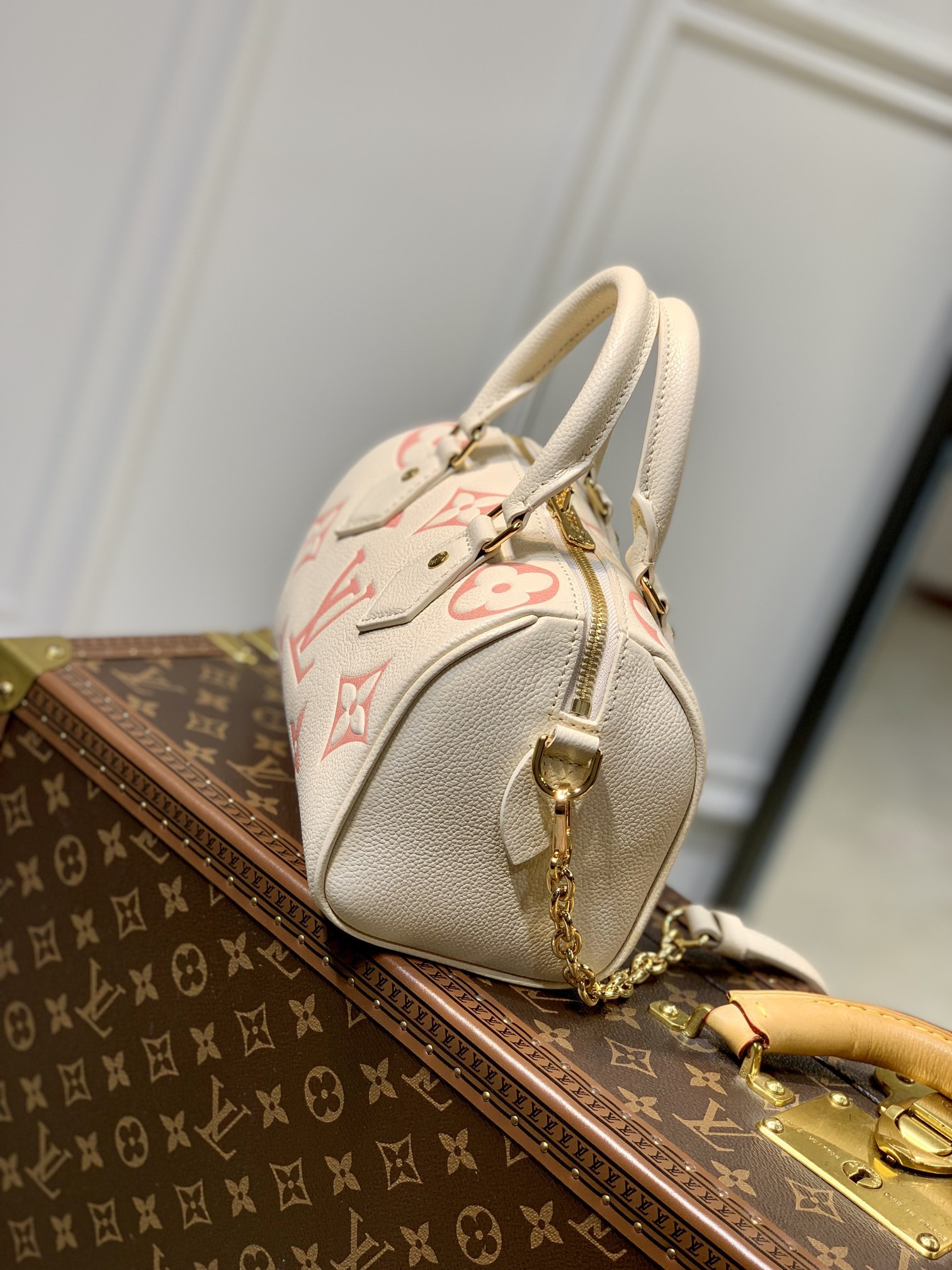 Louis Vuitton Speedy Bandoulière 20 Bag