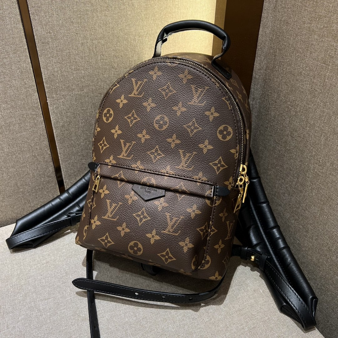 Louis Vuitton Palm Springs Bag
