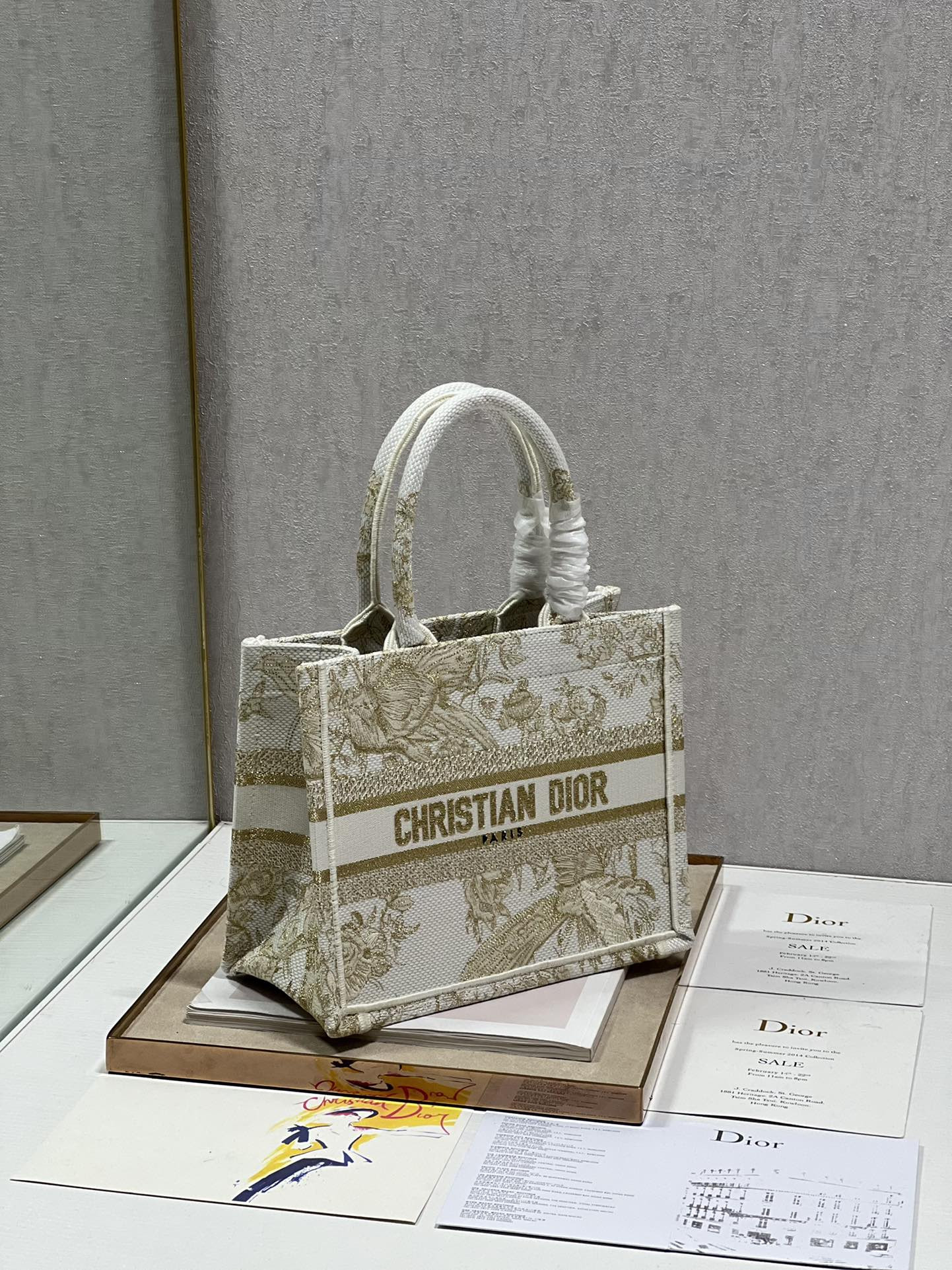 Small Dior Book Tote