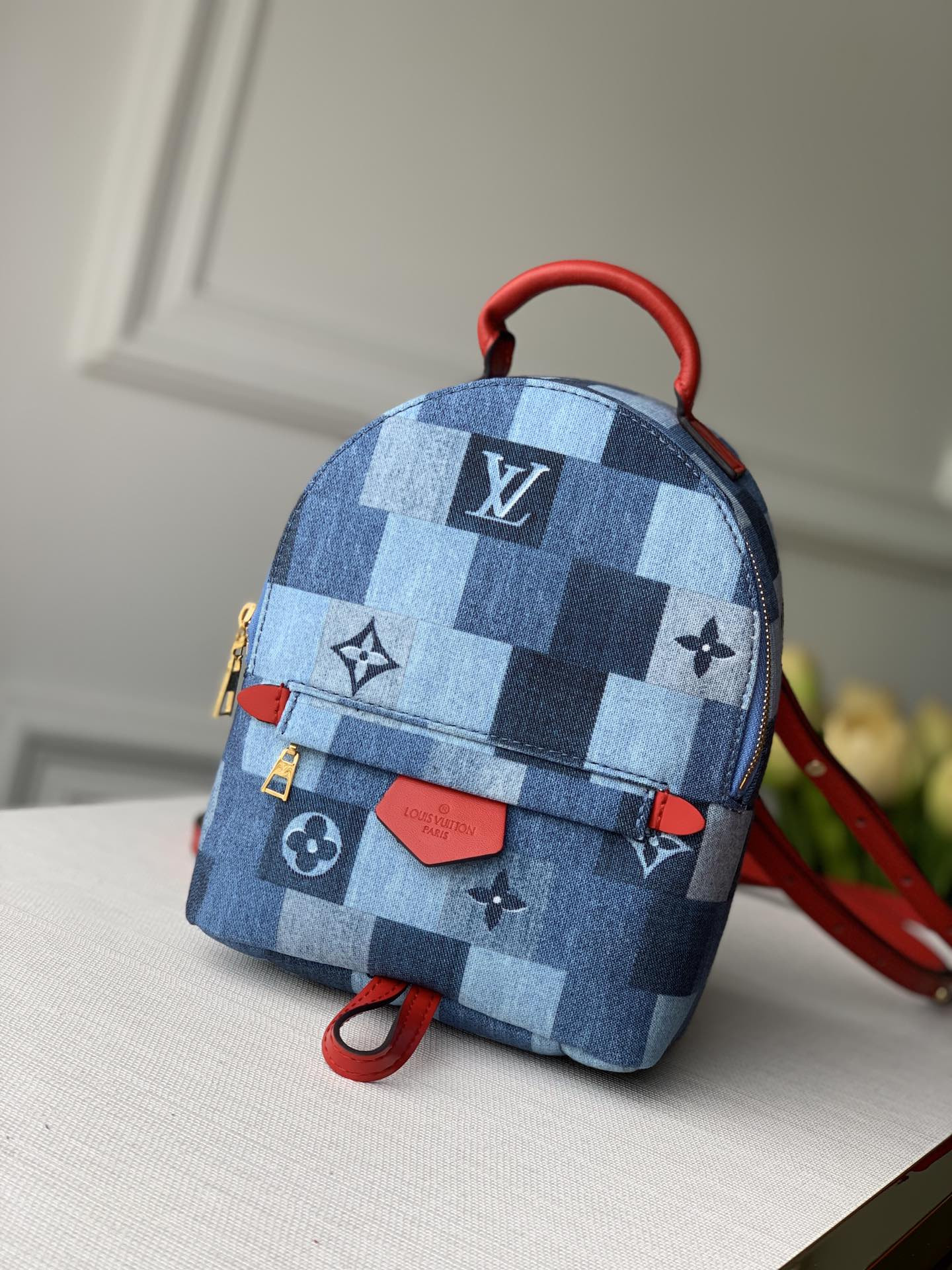 Louis Vuitton Palm Springs Bag