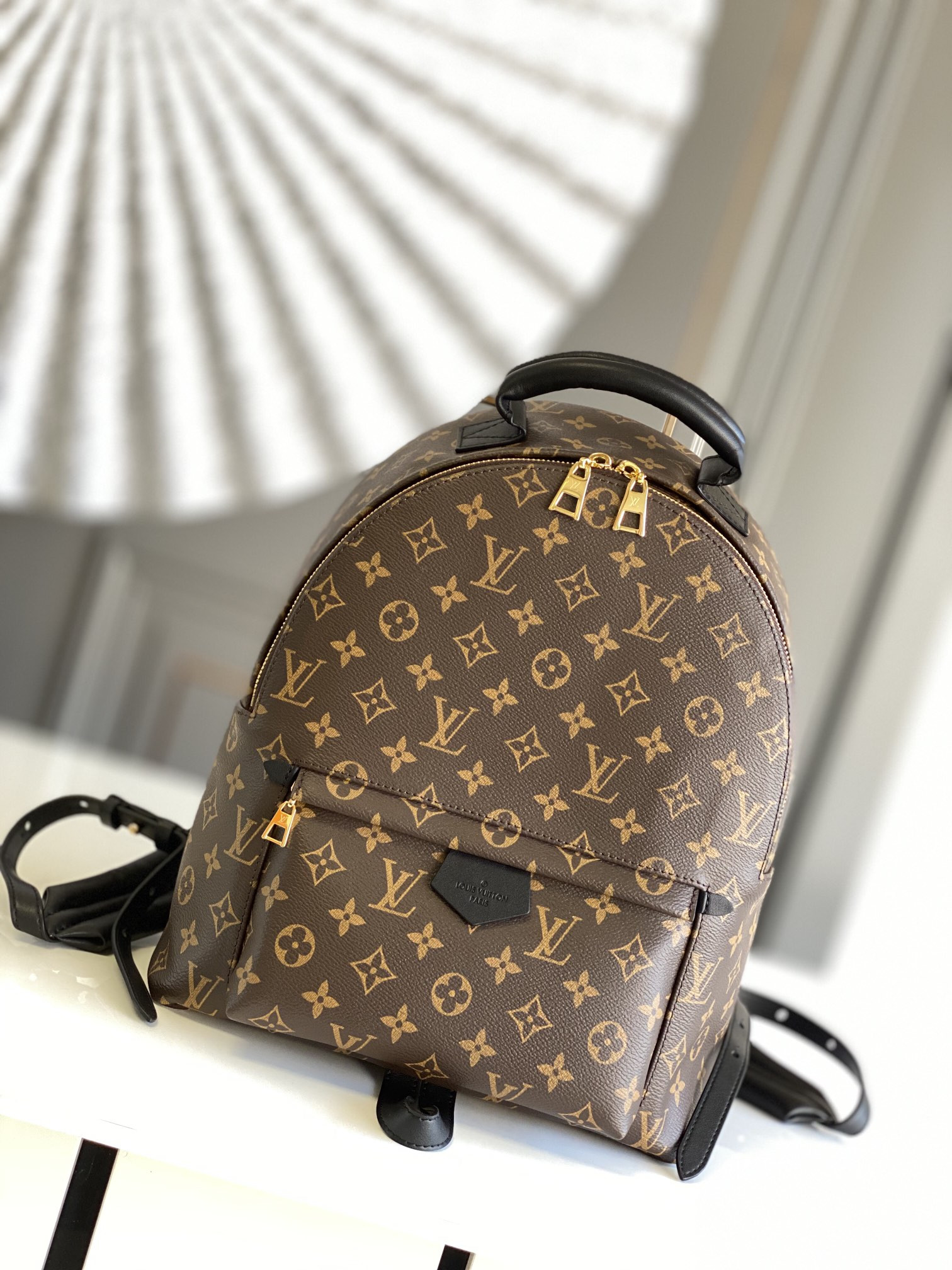 Louis Vuitton Palm Springs Bag