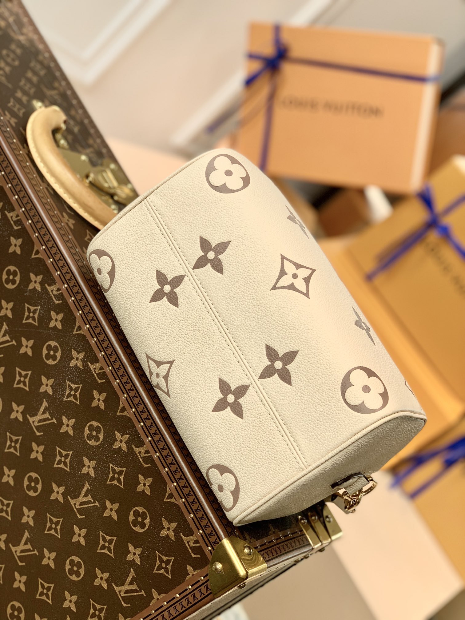 Louis Vuitton Speedy Bandoulière 25 Bag