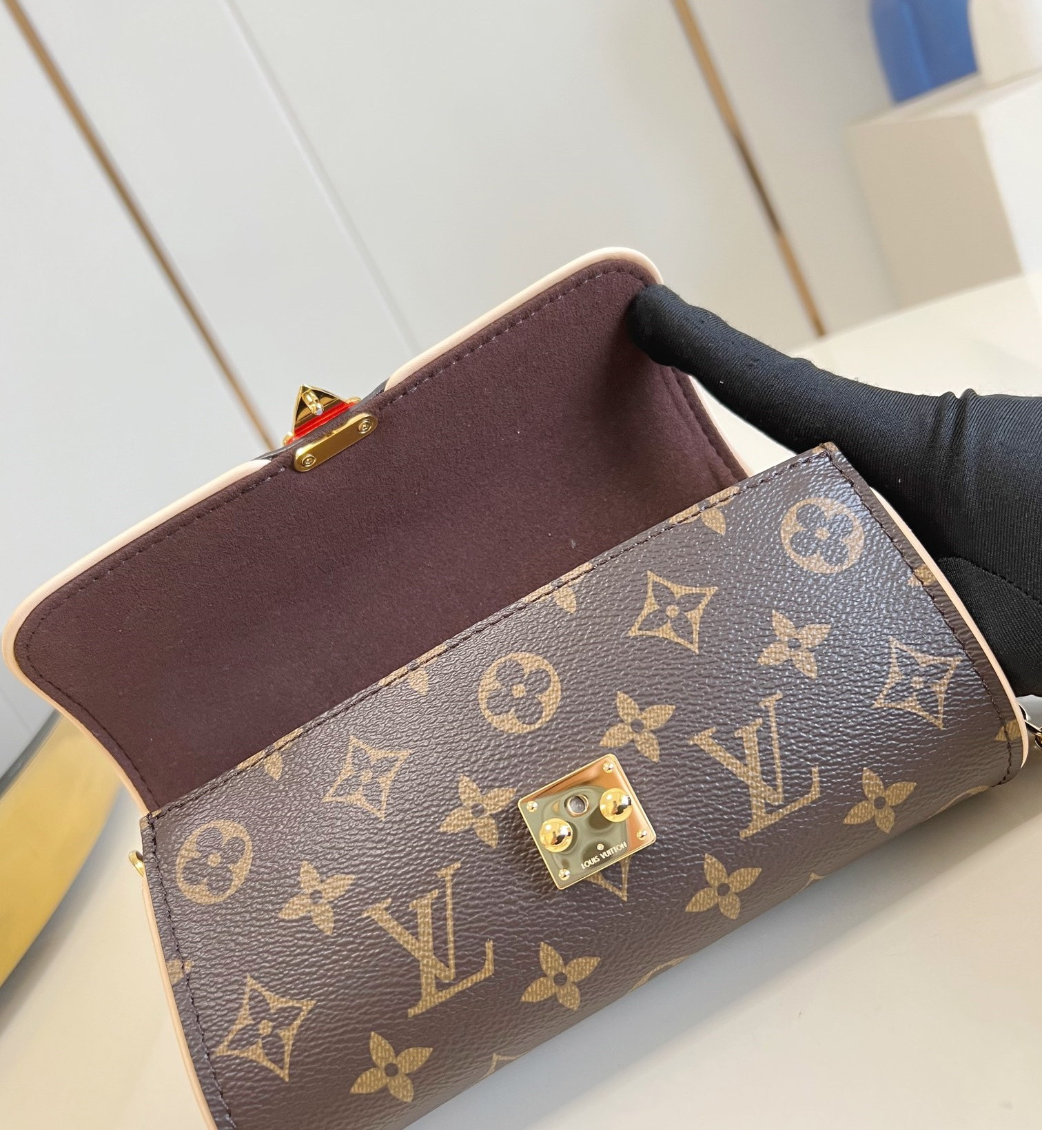 Louis Vuitton Pochette Camille Handbag