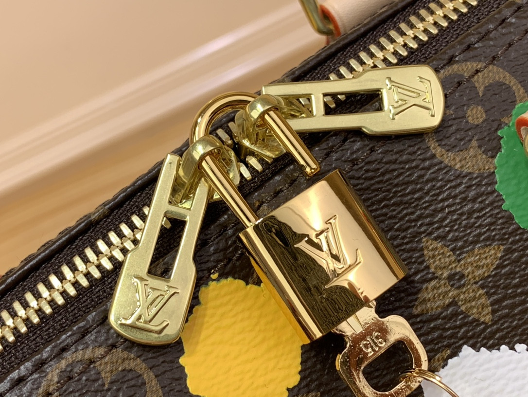 Louis Vuitton Speedy Bandoulière 25 Bag