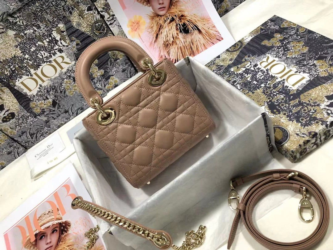 Mini Lady Dior Bag