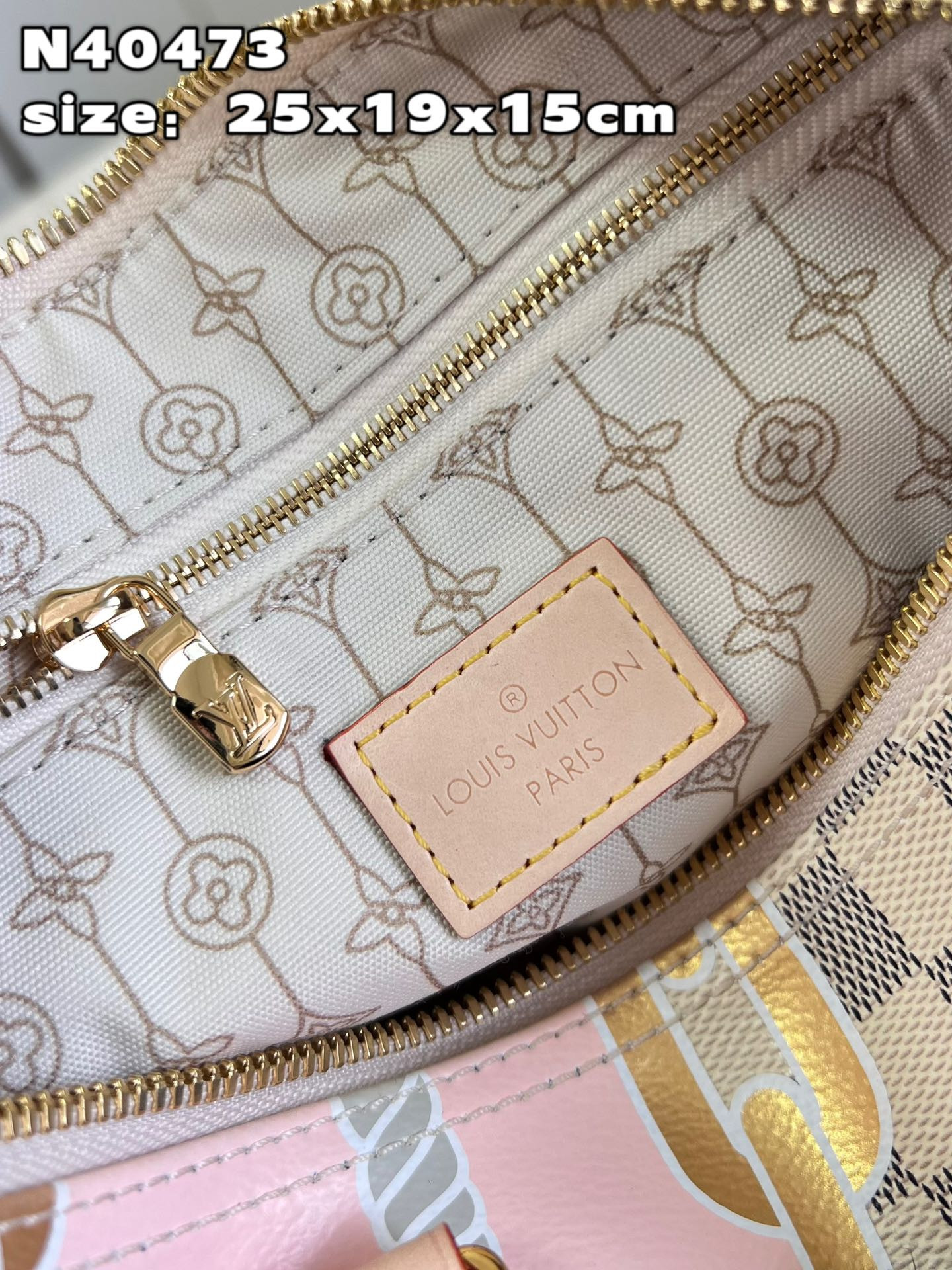 Louis Vuitton Speedy Bandoulière 25 Bag