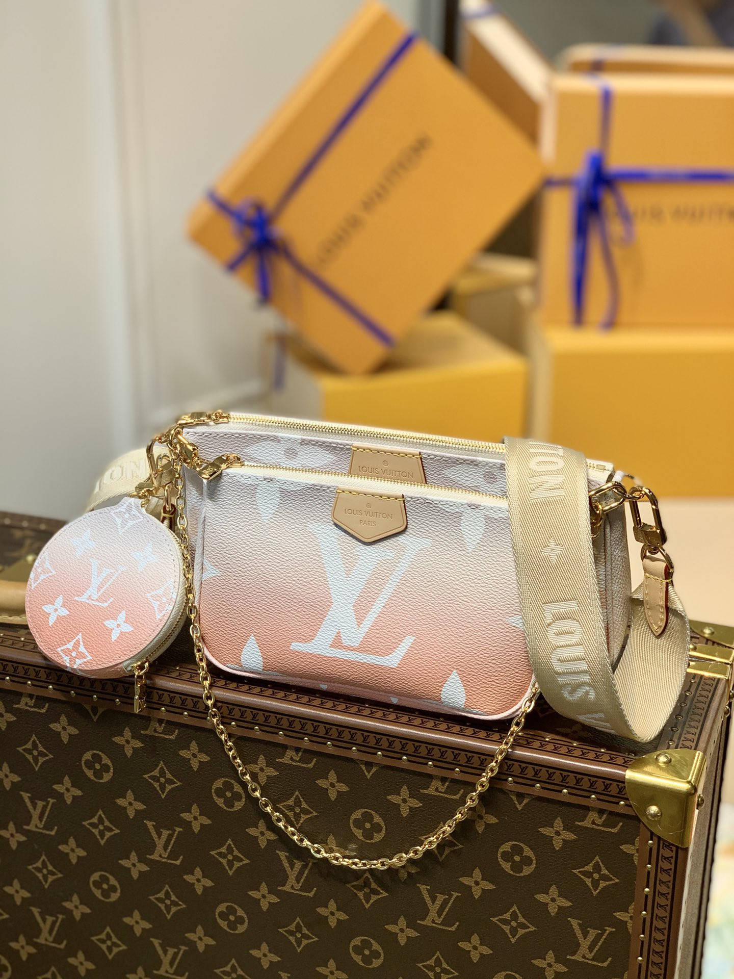 Louis Vuitton Multi Pochette Accessories Bag