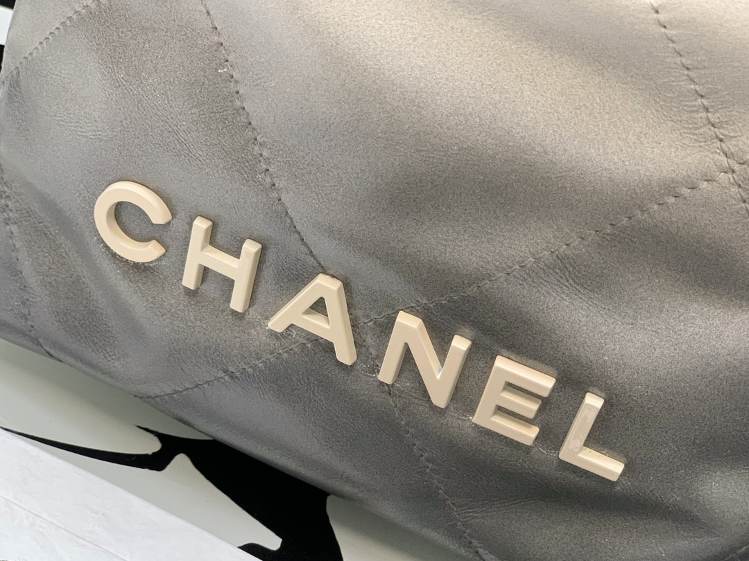 Chanle 22 Backpack Mini