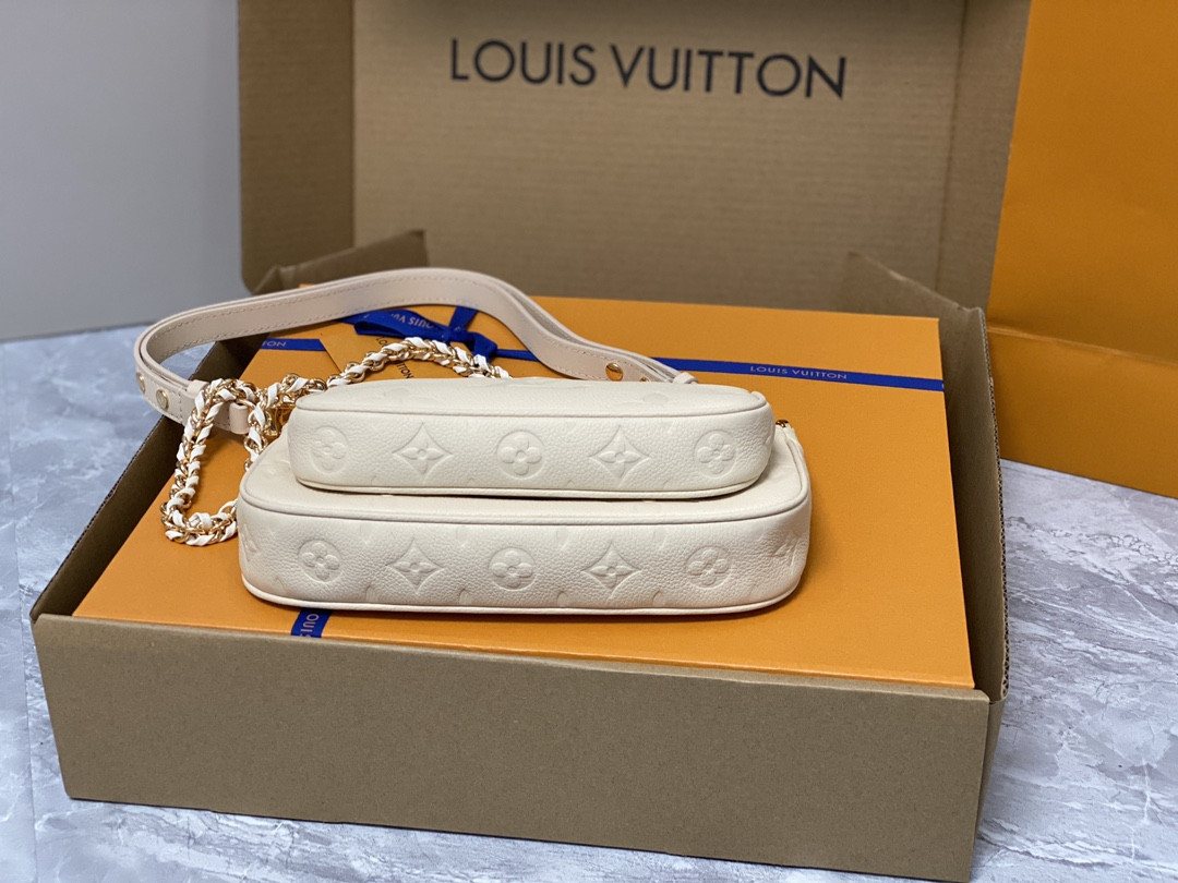 Louis Vuitton Multi Pochette Accessories Bag