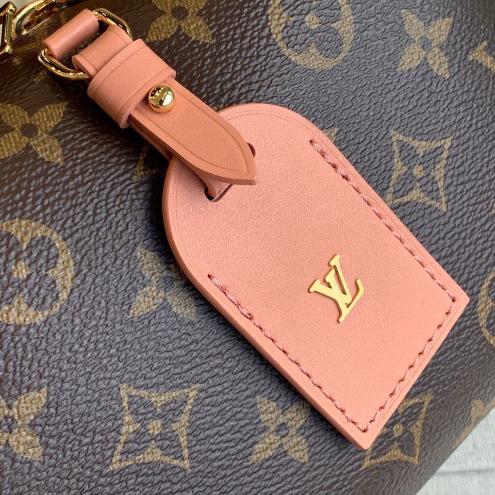 Louis Vuitton Petite Malle Souple Bag