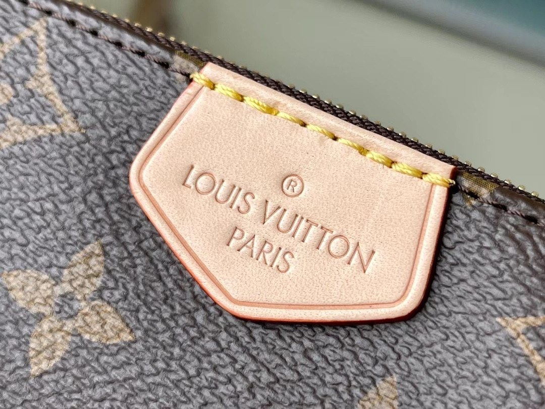 Louis Vuitton Multi Pochette Accessories Bag