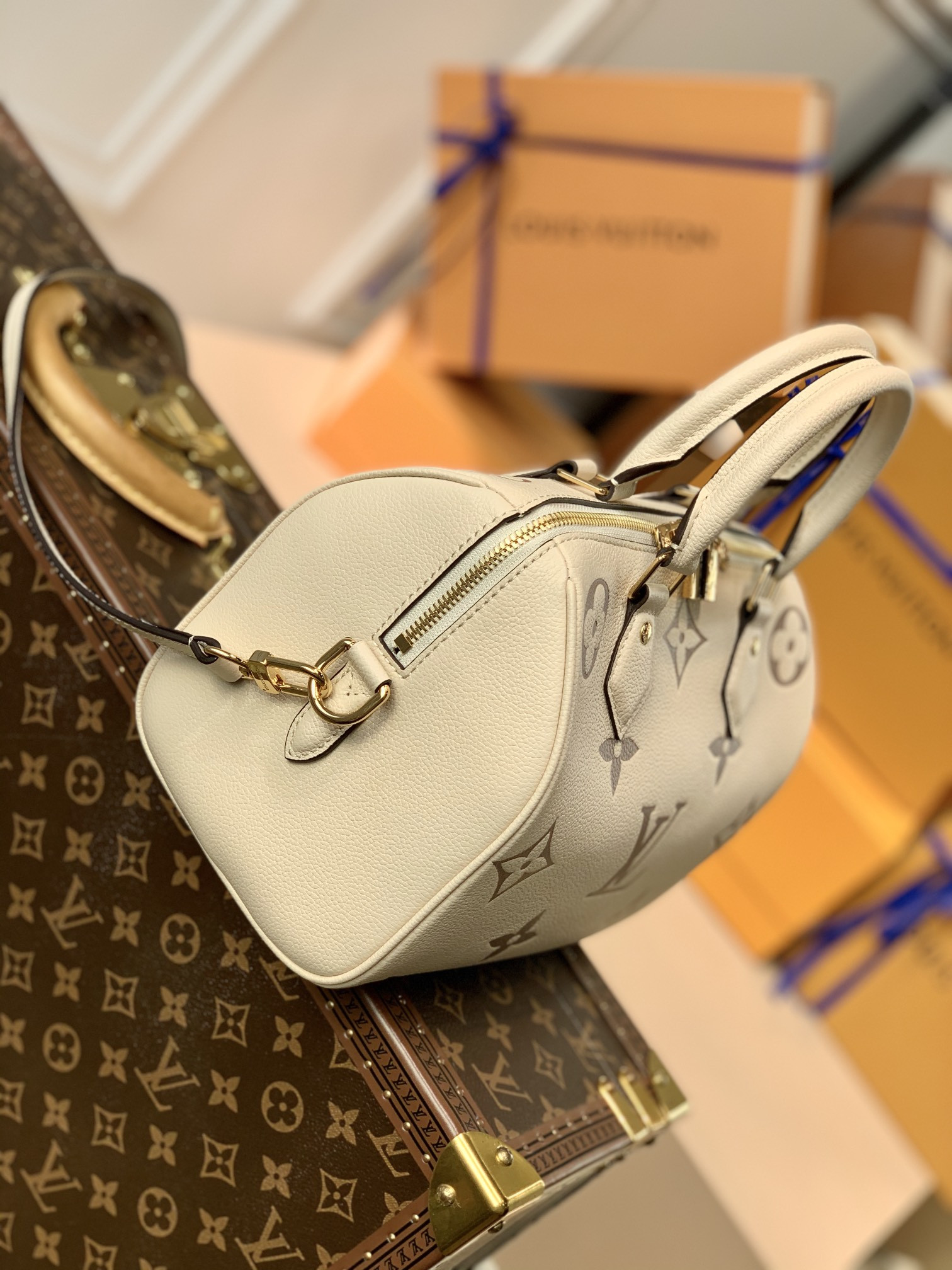 Louis Vuitton Speedy Bandoulière 25 Bag