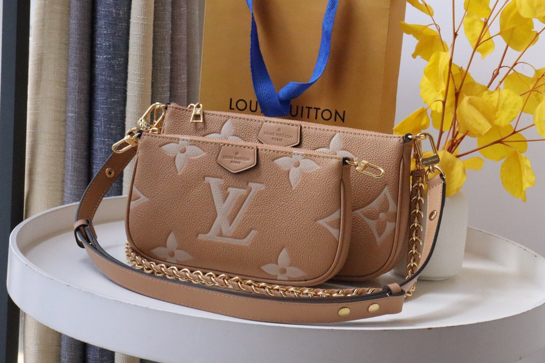 Louis Vuitton Multi Pochette Accessories Bag