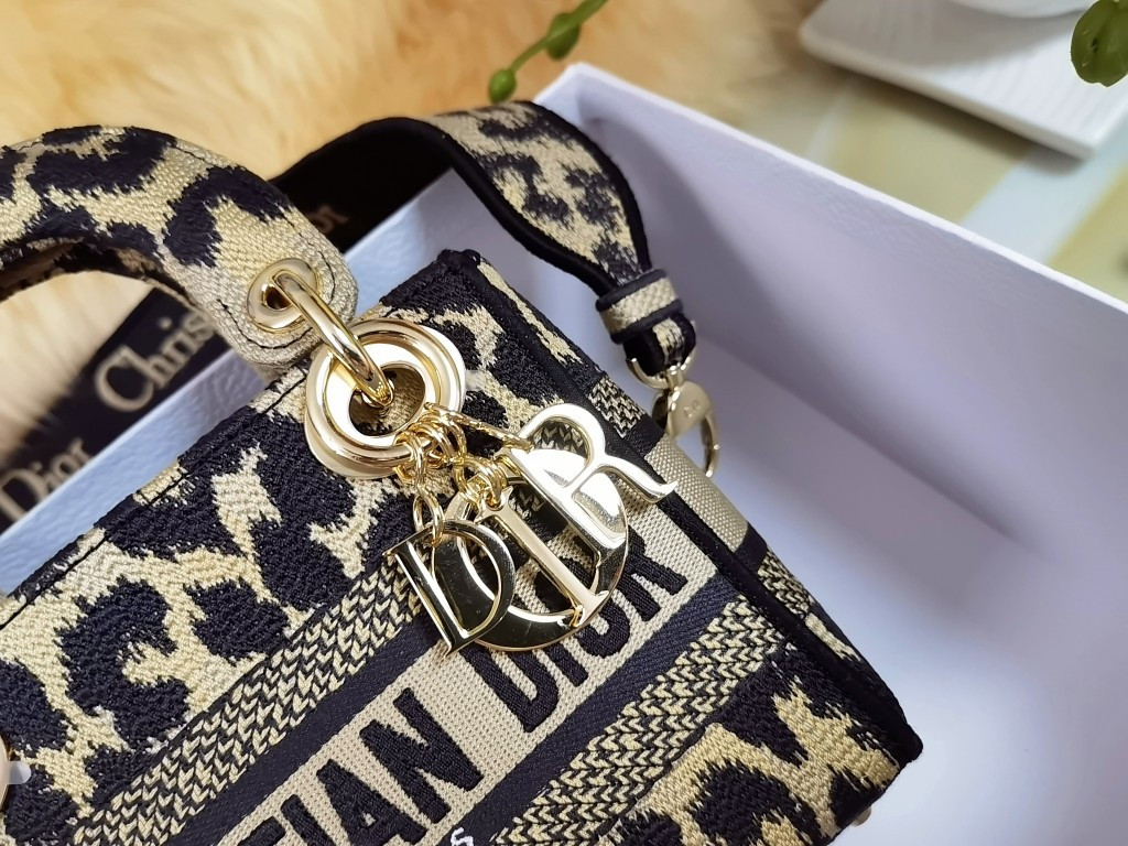 Mini Lady Dior Bag