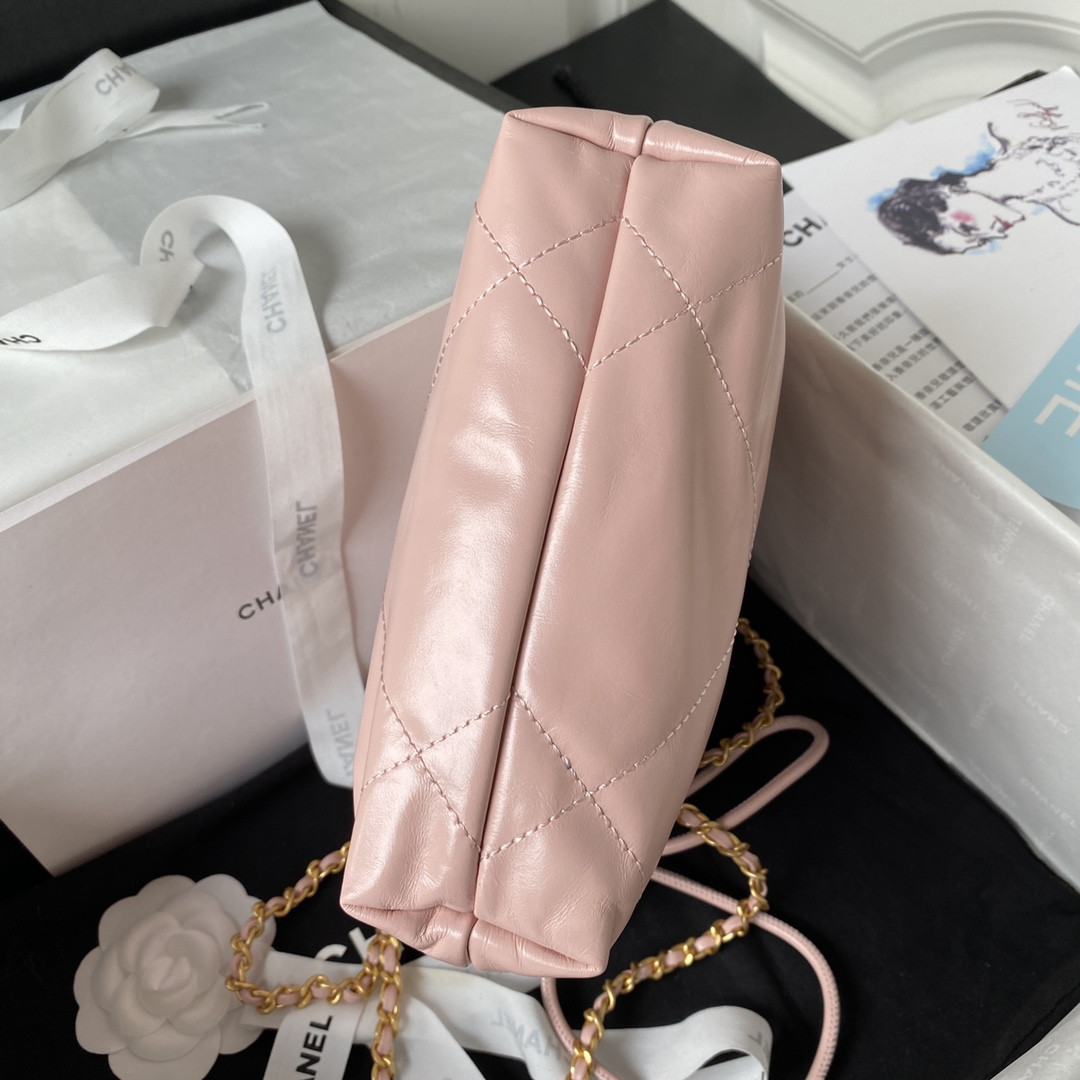 Chanle 22 Backpack Mini