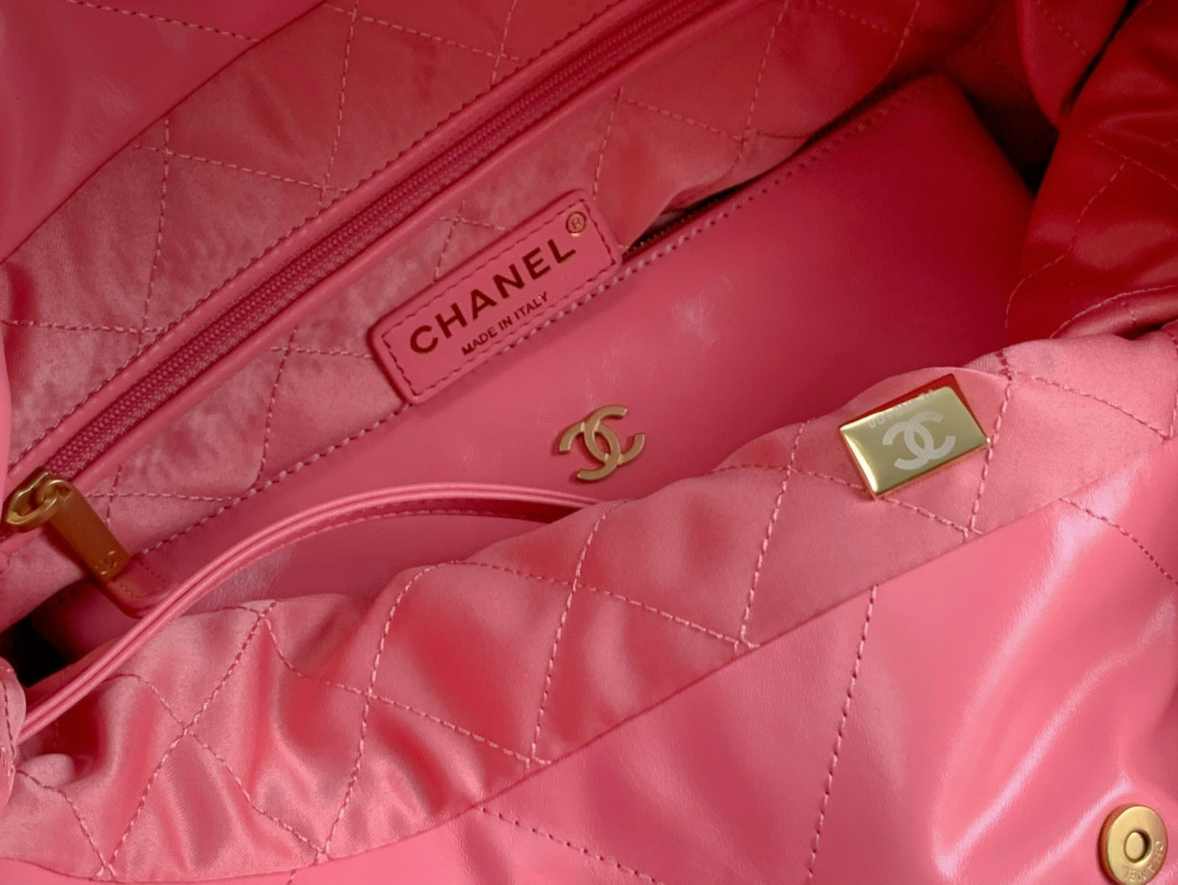 Chanle 22 Backpack