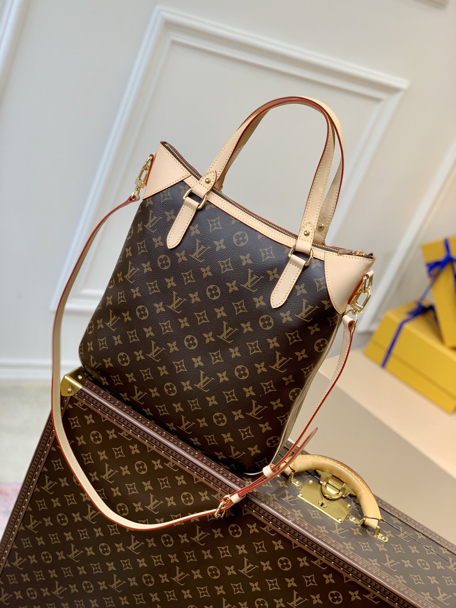 Louis Vuitton Odéon Bag