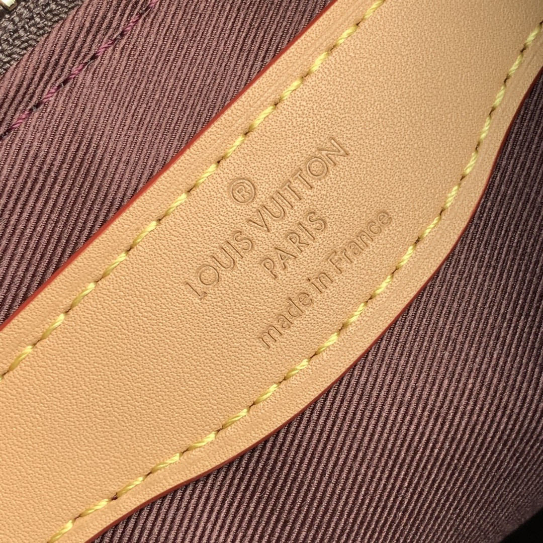 Louis Vuitton Odéon Bag