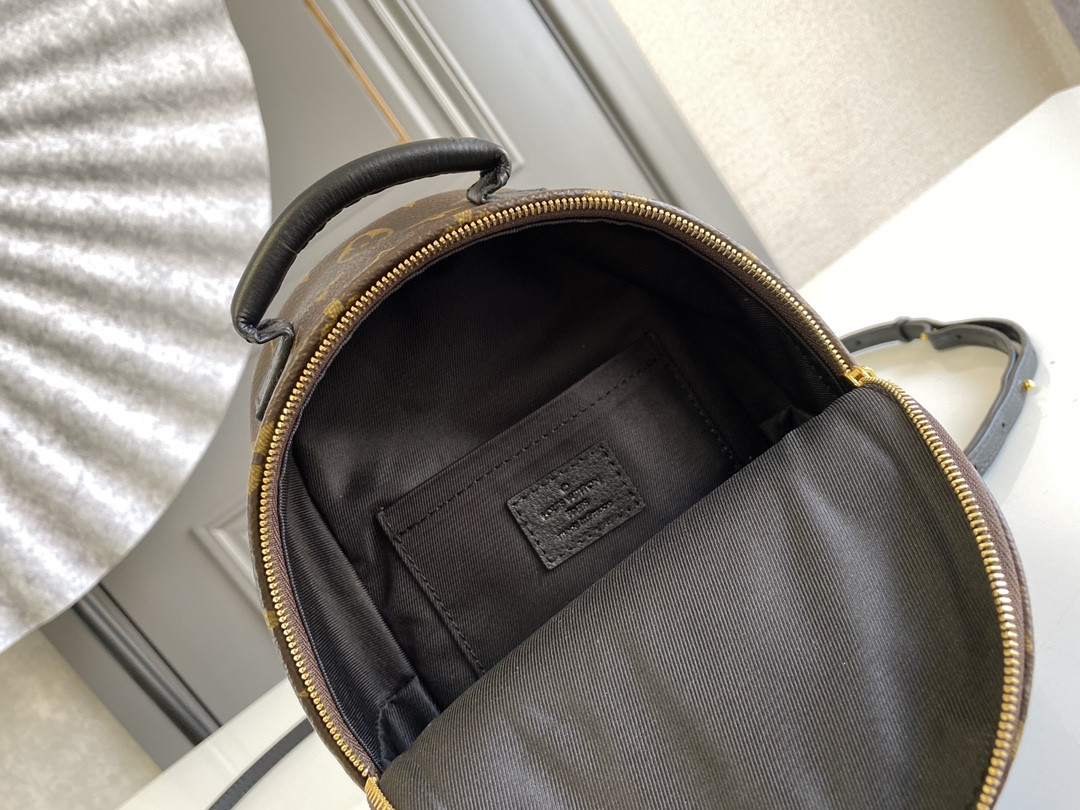 Louis Vuitton Palm Springs Bag