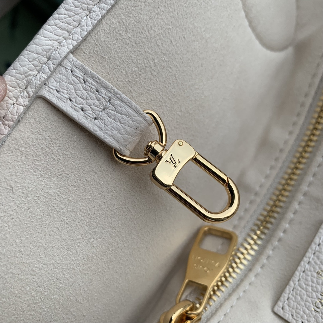 Louis Vuitton Neverfull Bag