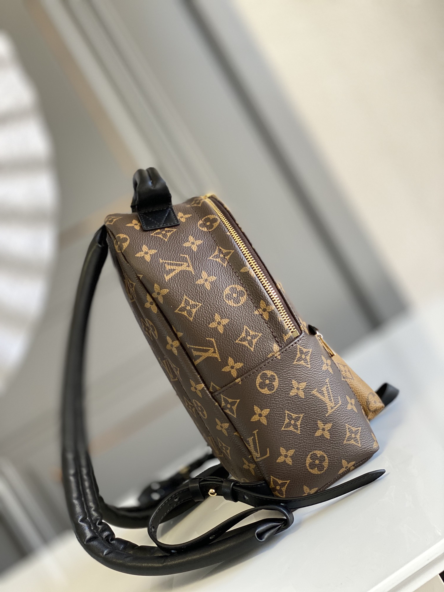 Louis Vuitton Palm Springs Bag