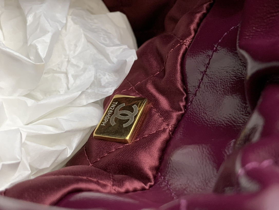 Chanle 22 Backpack Mini