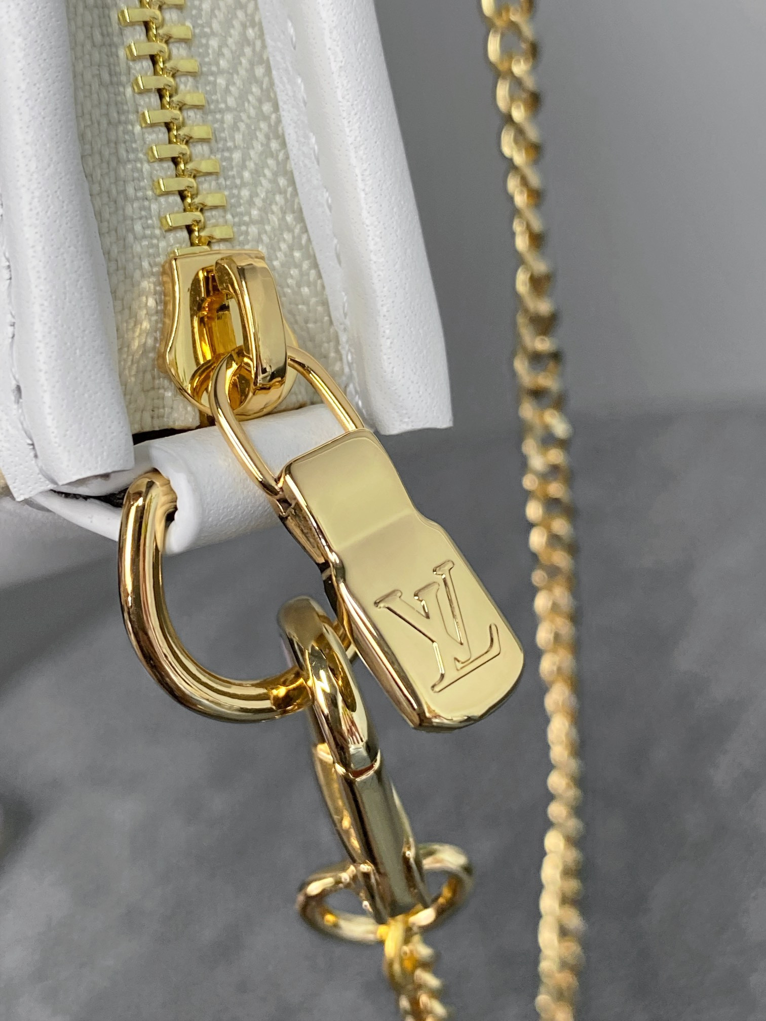 Louis Vuitton Pochette Accessoires Metis Bag