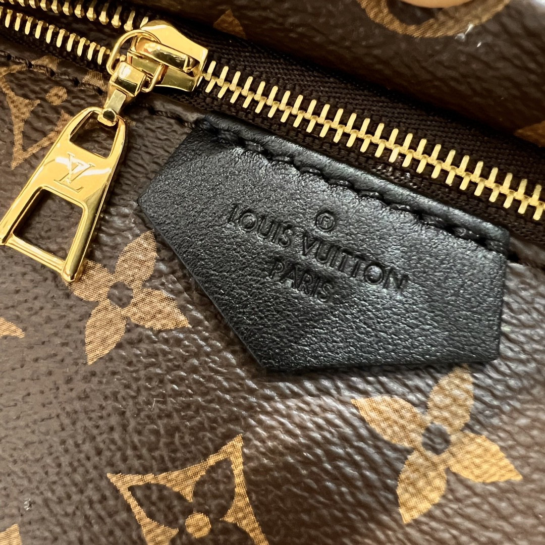 Louis Vuitton Palm Springs Bag