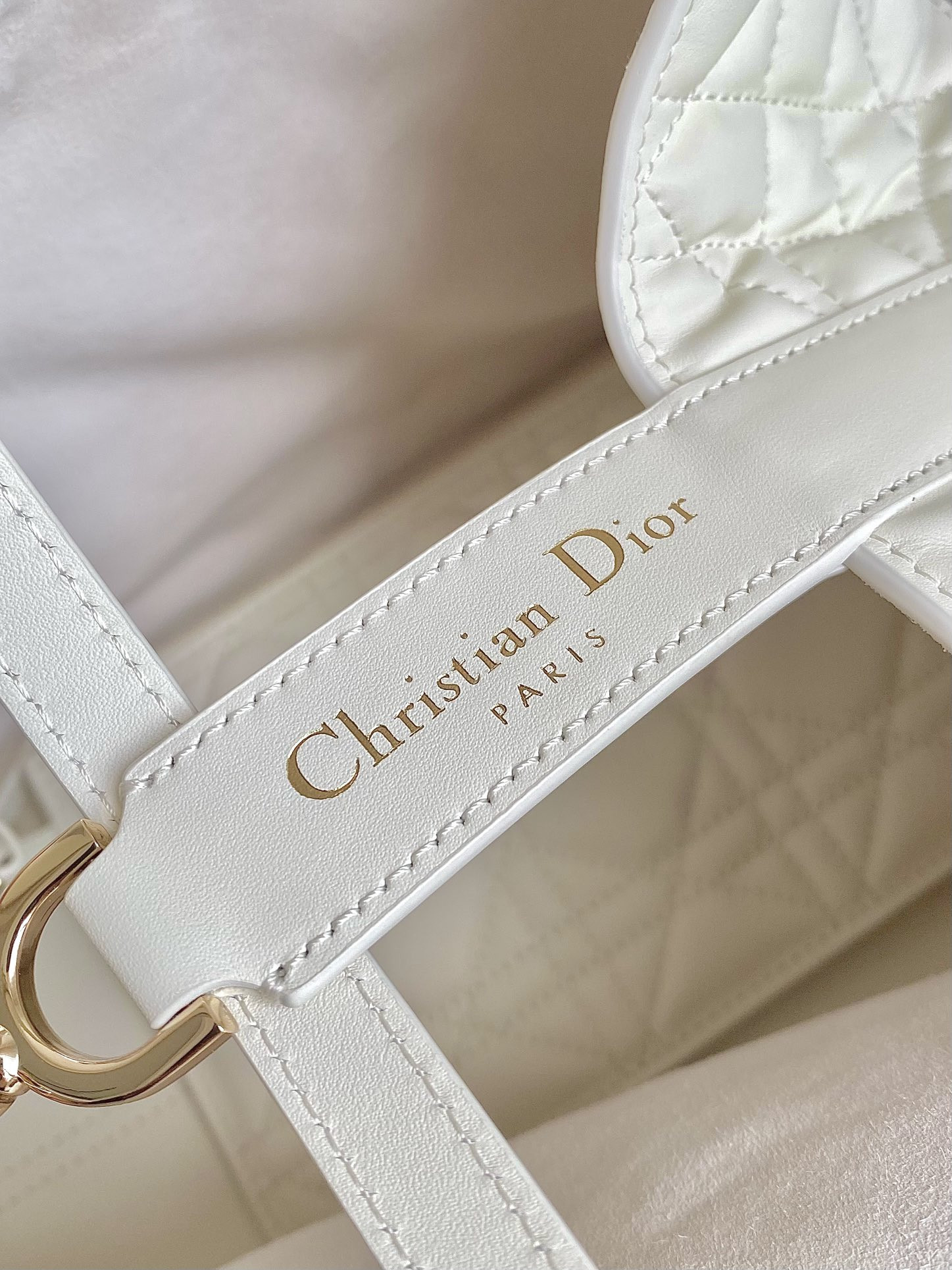 Dior Toujours Bag